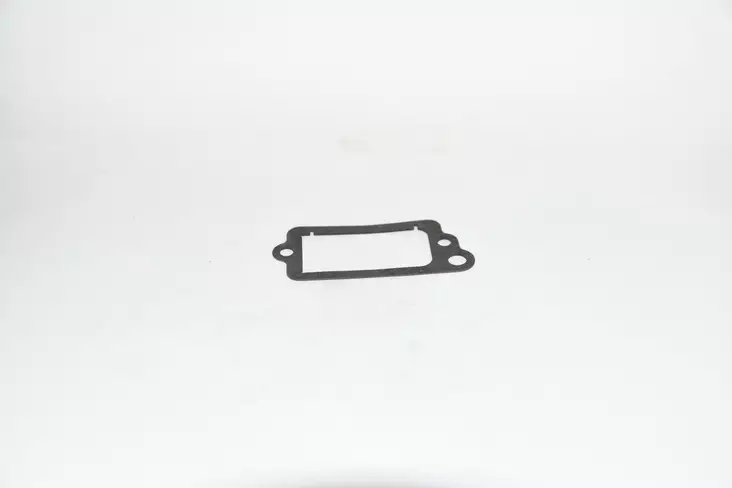 B&S Tiiviste 695890 - Ilmans. ja imukaulan tiivisteet - 695890 - 1