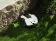 Husqvarna Automower 405VE NERA, sis. Kameran ja EPOS PLUGIN - Husqvarna Automower robottileikkurit - 9708199-21 - 9