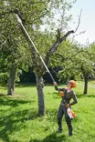 Stihl HTA 135 akkukäyttöinen oksasaha - STIHL AP akkukoneet - LA012000002 - 2