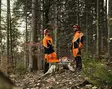 STIHL DYNAMIC DUROTEC TAKKI, KOKO S - Metsurin takit - 00883351303 - 3