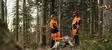 STIHL DYNAMIC DUROTEC HOUSUT, KOKO S - Turvahousut moottorisahaukseen - 00883423203 - 3