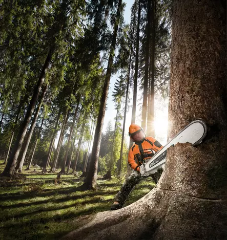 STIHL MS 661 C-M W Moottorisaha 3/8"R - STIHL ammattisahat - 11442000344 - 2