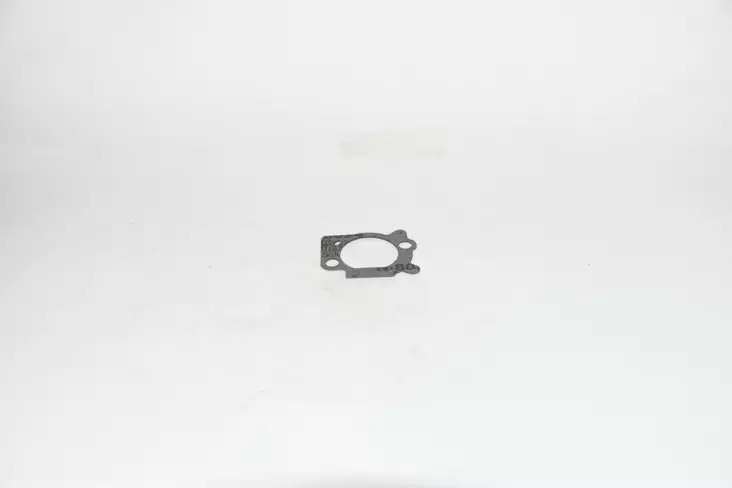 B&S imutiiviste 691894 - Ilmans. ja imukaulan tiivisteet - 691894 - 1