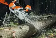 STIHL MS 201 C-M 12" Moottorisaha - STIHL ammattisahat - 11452000275 - 3