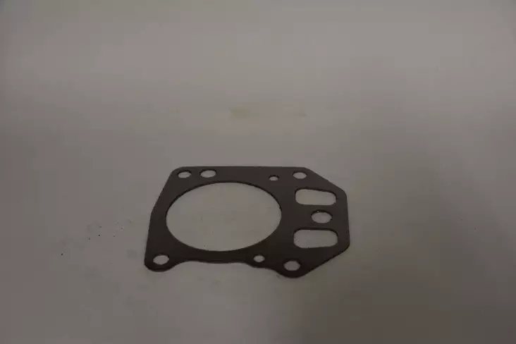 B&S Kannentiiviste 695166 - Kannen ja sylinterin tiivisteet - 695166 - 1