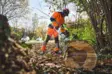 STIHL MSA 600 C-O W 25" moottorisaha - STIHL AP Akkusahat, oksasahat - MA072000007 - 3