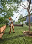 STIHL HTA 30 Teleskooppi oksasaha SET - STIHL AS akkukoneet - LA050116418 - 2